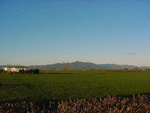 0006 maunga_te_aroha_looking_south_east_thumb.gif